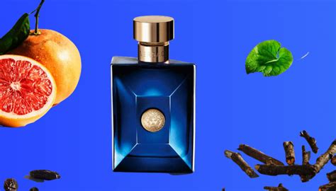 versace dylan blue vs bvlgari atlantic|Top 5 Colognes That Smells Like Versace Dylan Blue [In 2024].